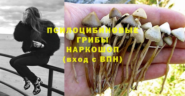 каннабис Абаза