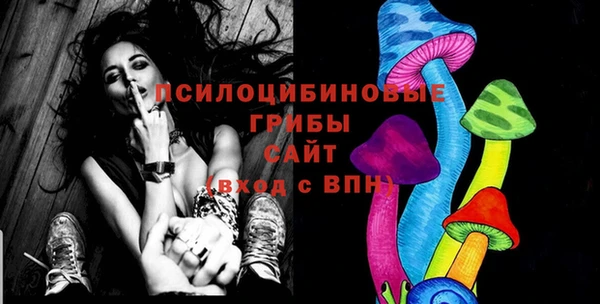 СК Абинск